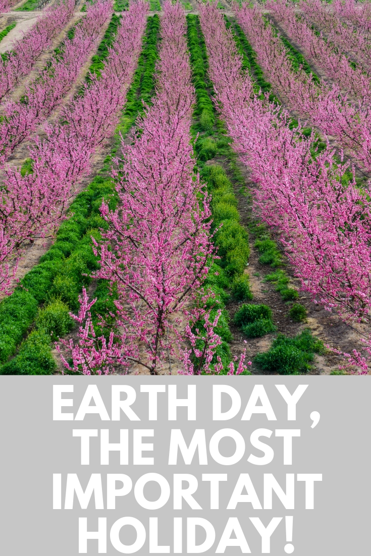 We only have one home, Earth. That means that Earth Day is the most important holiday we will ever celebrate! Each year on April 22nd we have the chance to show the world how much we love our planet and are dedicated to keeping it safe and healthy for many generations to come. 