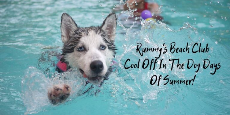 Rummy's Beach Club | Cool Off In The Dog Days Of Summer! - MCLife Houston
