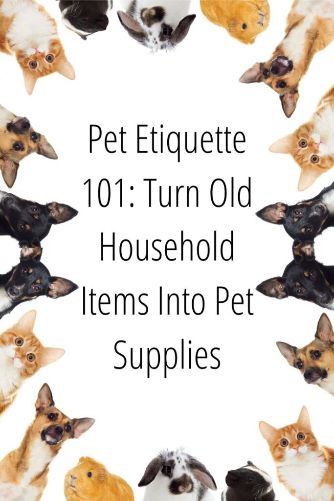 Pet Etiquette 101 Turn Old Household Items Into Pet Supplies MCLife