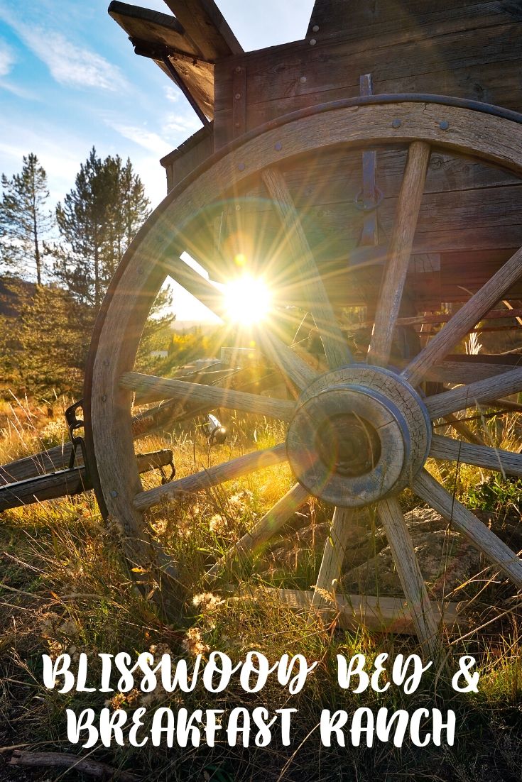 Want to give your relatives visiting for the holidays a unique overnight stay experience? You can sleep inside a covered wagon when you visit BlissWood Bed & Breakfast Ranch in Texas.