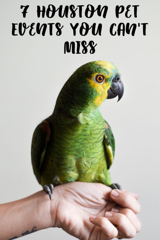 7 Houston Pet Events You Can't Miss MCLife Houston Apartment