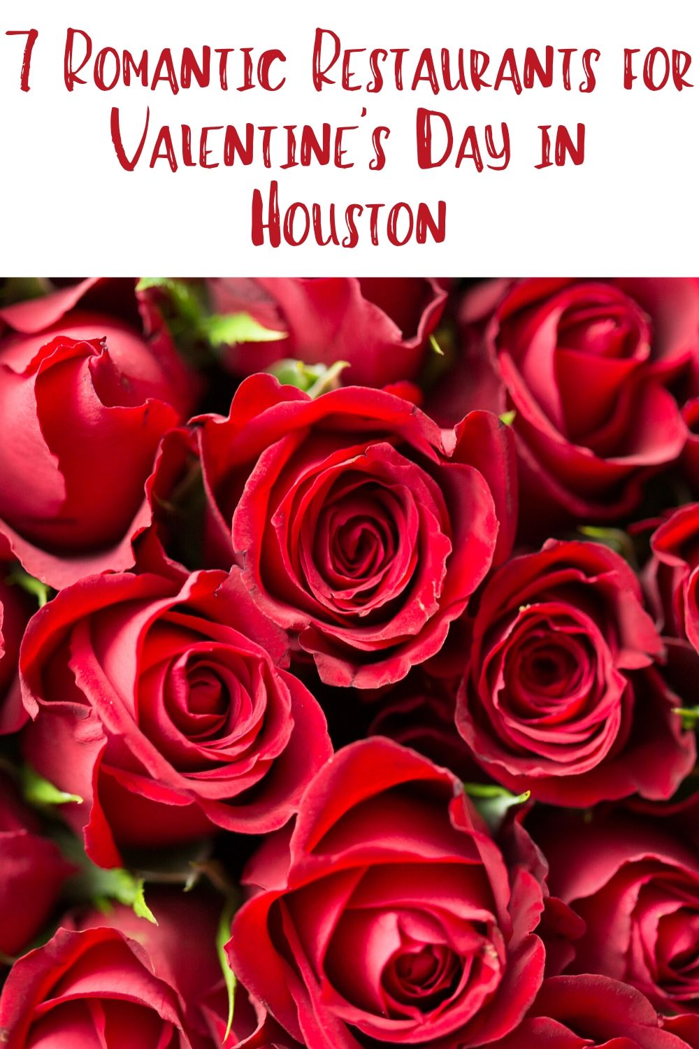 If you are new to Houston living we want to make sure you have the best Valentine's Day in Houston. These Houston restaurants are romantic and perfect for date night! 