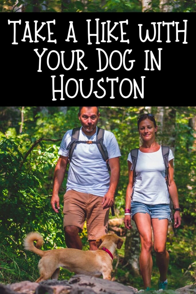 Houston Hiking Spots To Visit With Dogs MCLife Houston Apartment