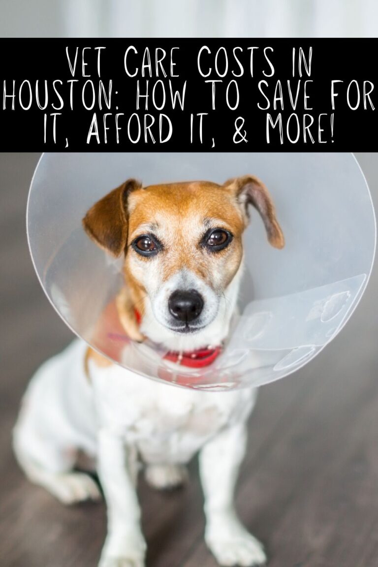 Vet Care Costs In Houston: How To Save For It, Afford It, & More ...